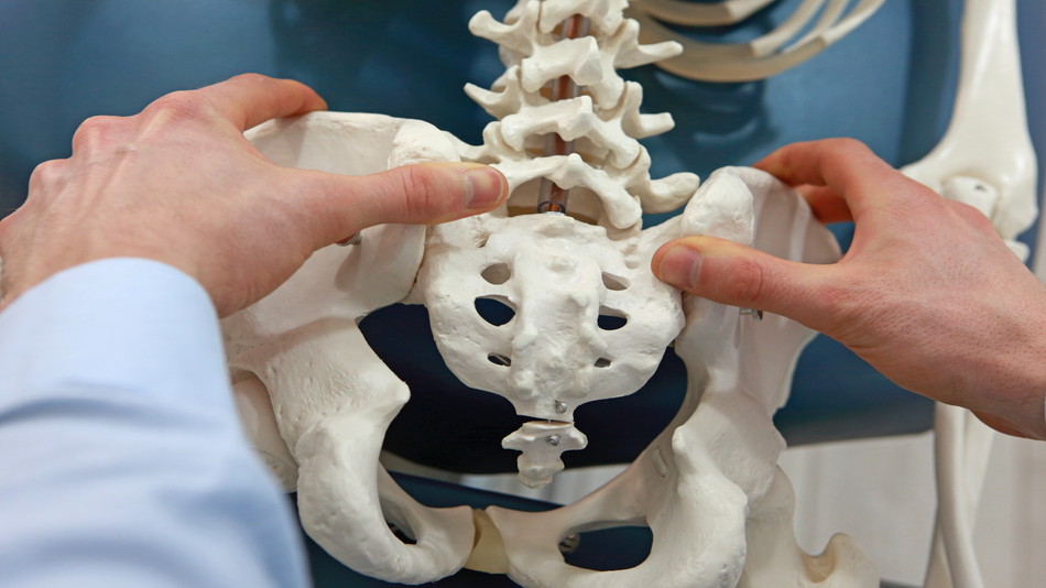 【骨盤のゆがみ】では説明できない腰痛の本質