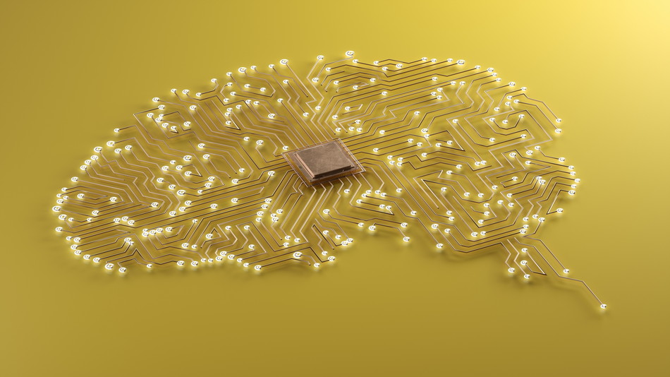 精密機械をも凌駕する、あなたの体を通る「光の速さの情報網」