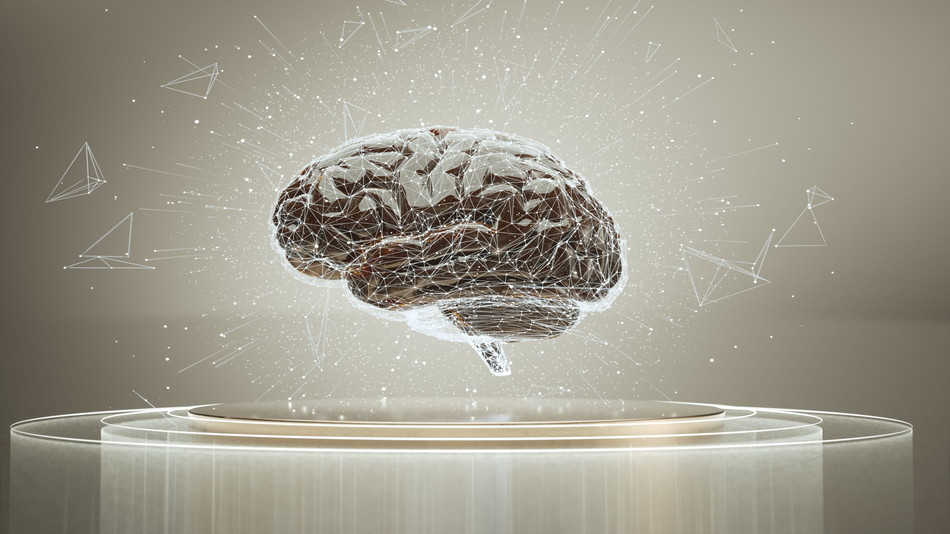 自律神経やしびれの原因？脳と体を結ぶ「脊髄神経」の重要性