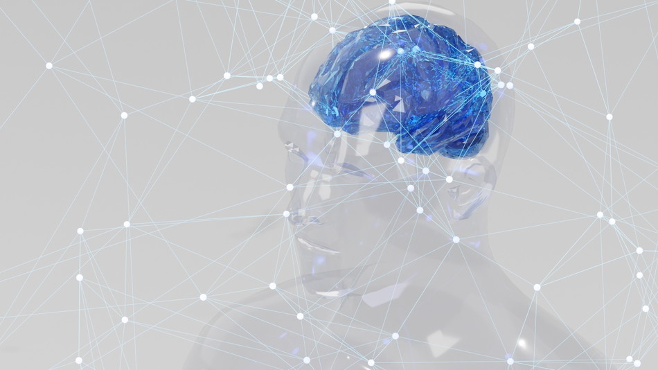 「物忘れ」や「集中力」の低下は脳のネットワーク不足？