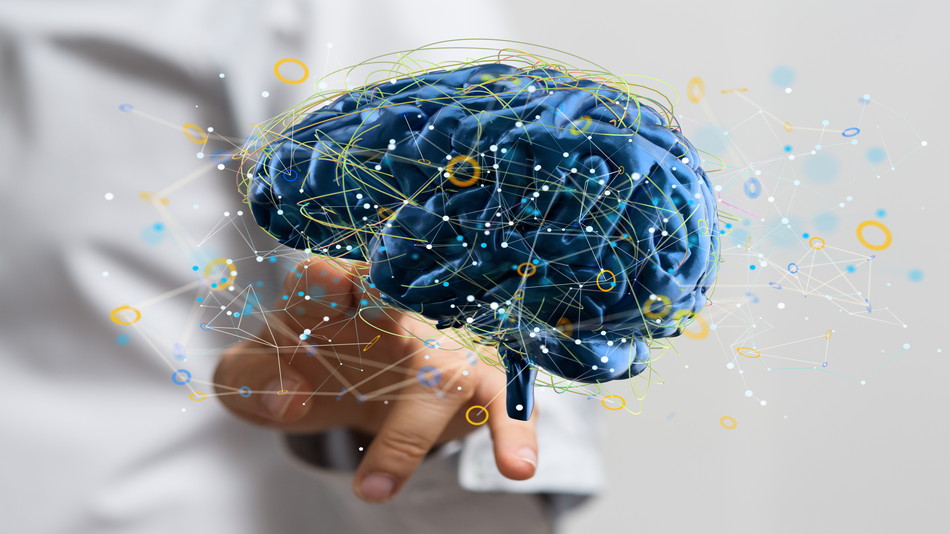 【脳と体のライフラインを支える神経系の真実】